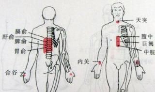 请问各前辈天津中医药大学考研中医内科学哪个方向比较好 中医内科学